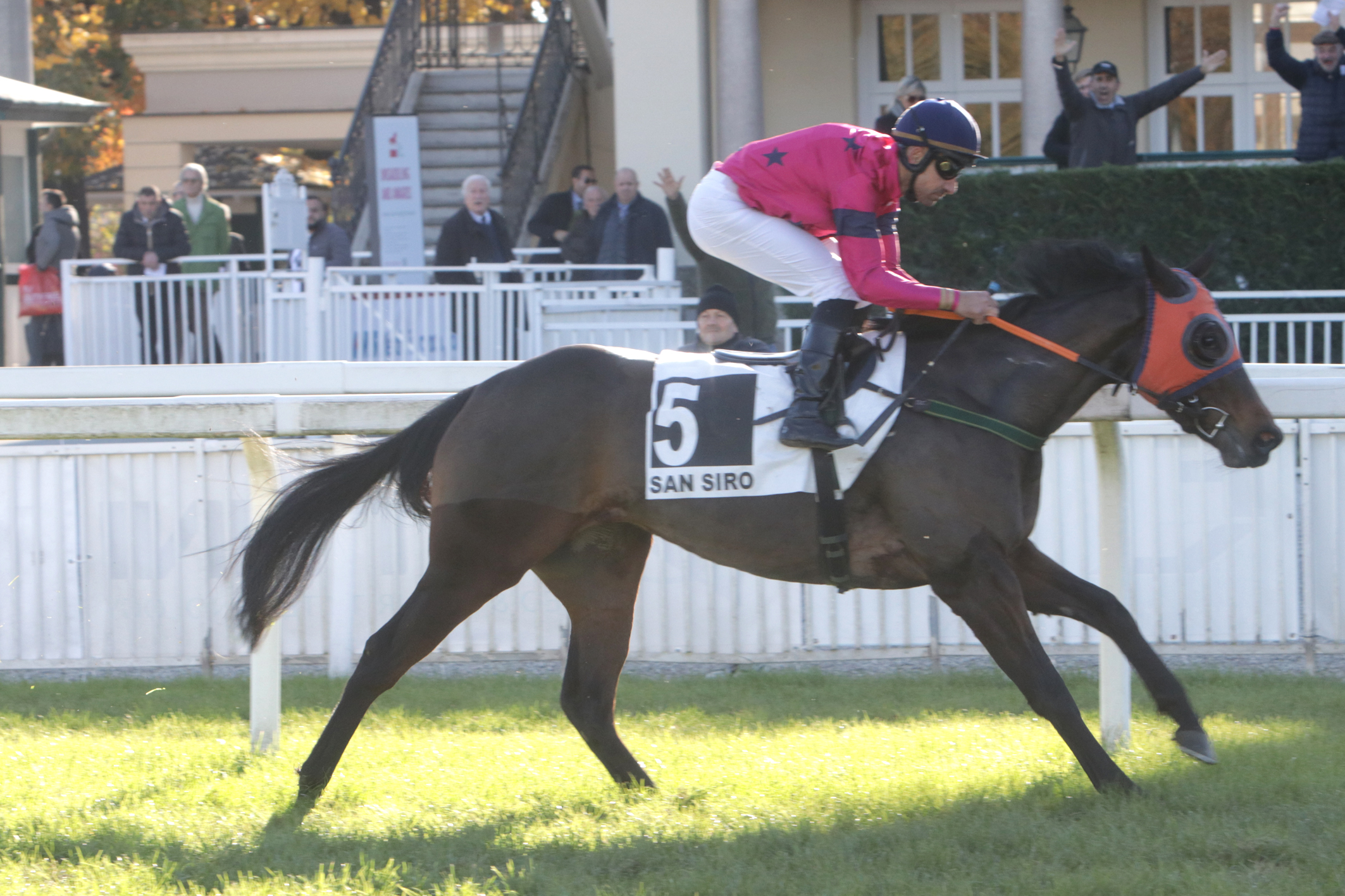 Ippodromo Snai San Siro: Premio Bascapé a Charm de Chat 3 CORSA3 PREMIO AVIS