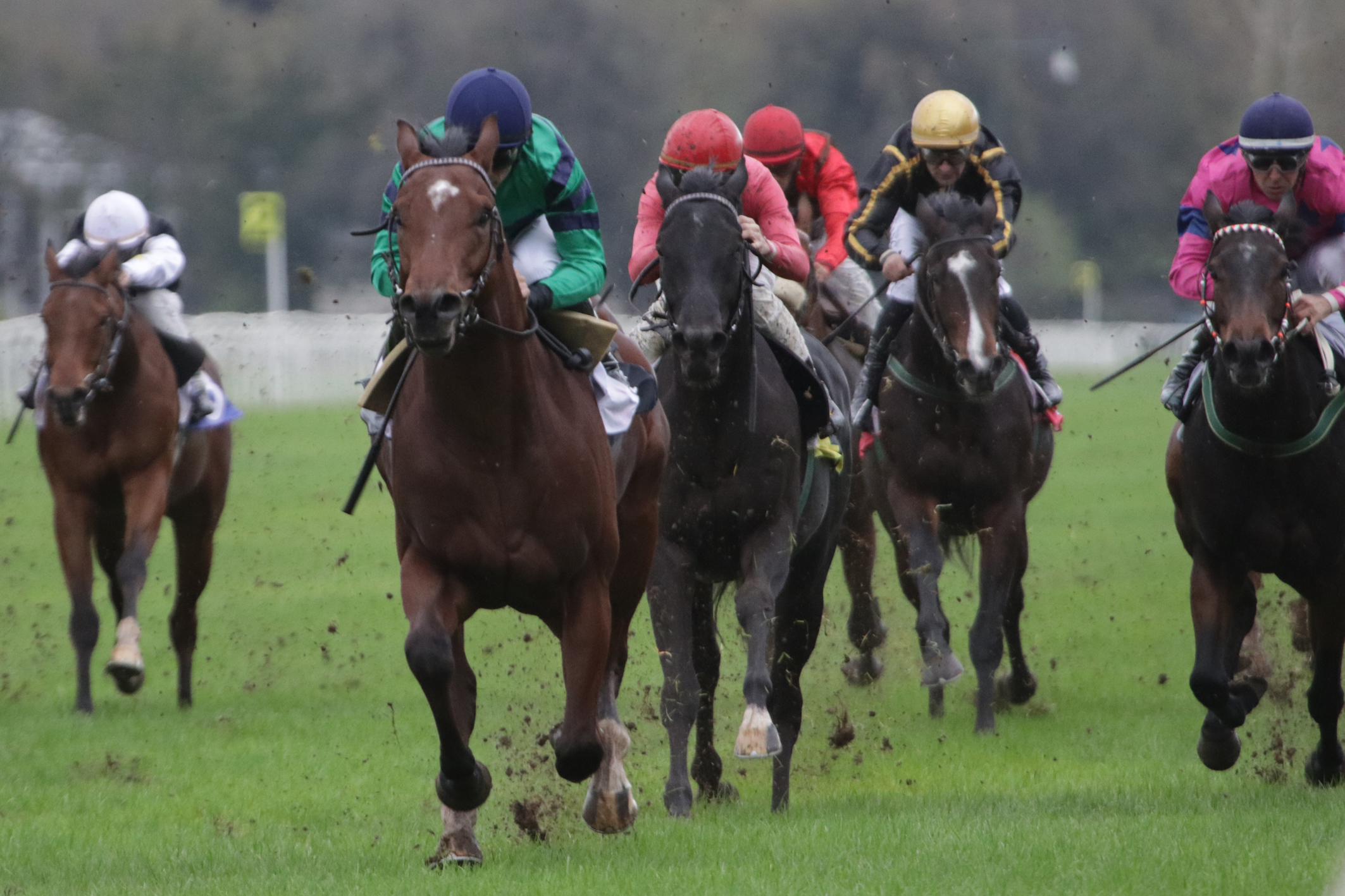 All’Ippodromo Snai San Siro la Scuderia Topeeka viene celebrata dalla bella vittoria di Suyaja 3 CORSA3 PREMIO BETTOLLE1