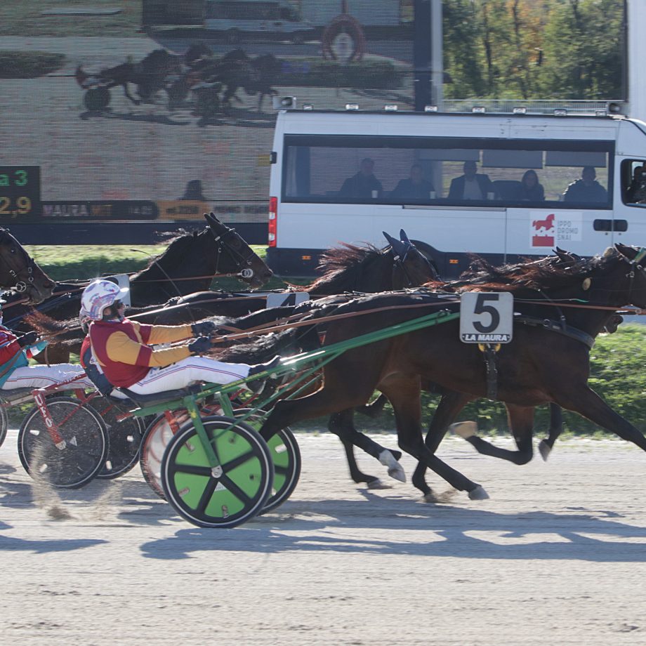 Il premio desiderio D'Esi, Clou del venerdì all'Ippodromo SNAI 3 CORSA3 PREMIO DESIDERIO DESI Arrivo