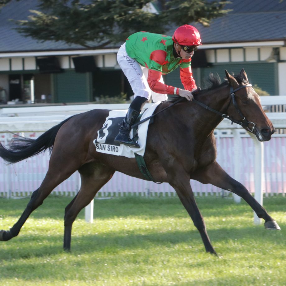 Ippodromo Snai San Siro: Premio Bascapé a Charm de Chat 4 CORSA4 PREMIO SCUDERIA OROBLU