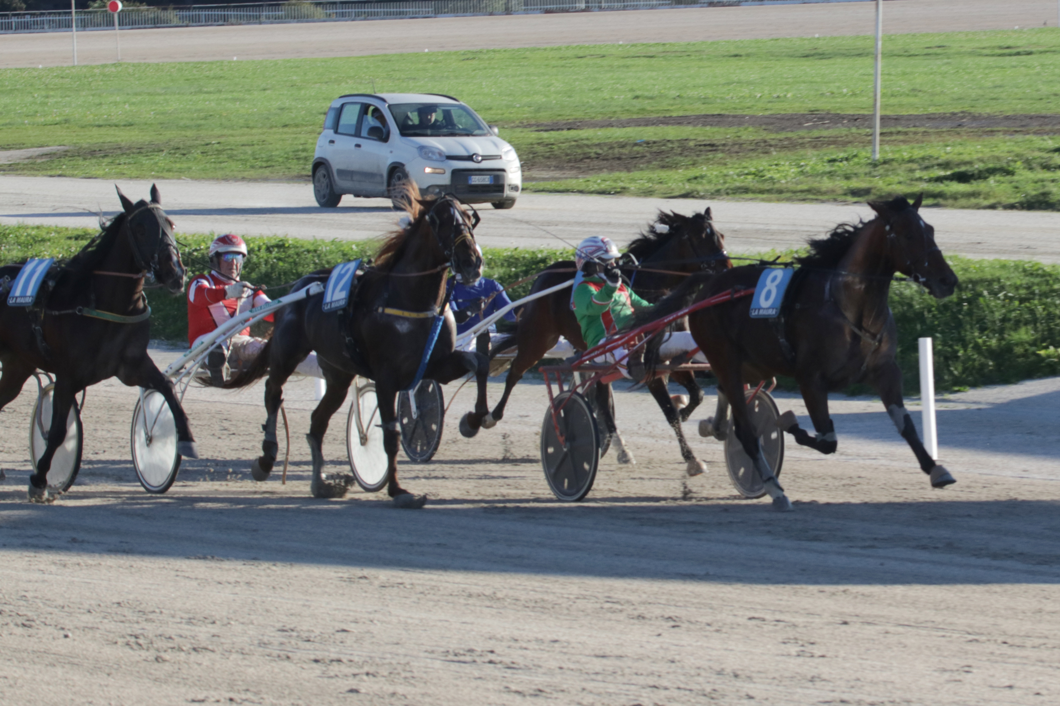 Il Trofeo Luigi Canzi all'ippodromo Snai La Maura va a Don Saxo 6 CORSA5 PREMIO FRECCIA DEL SUD