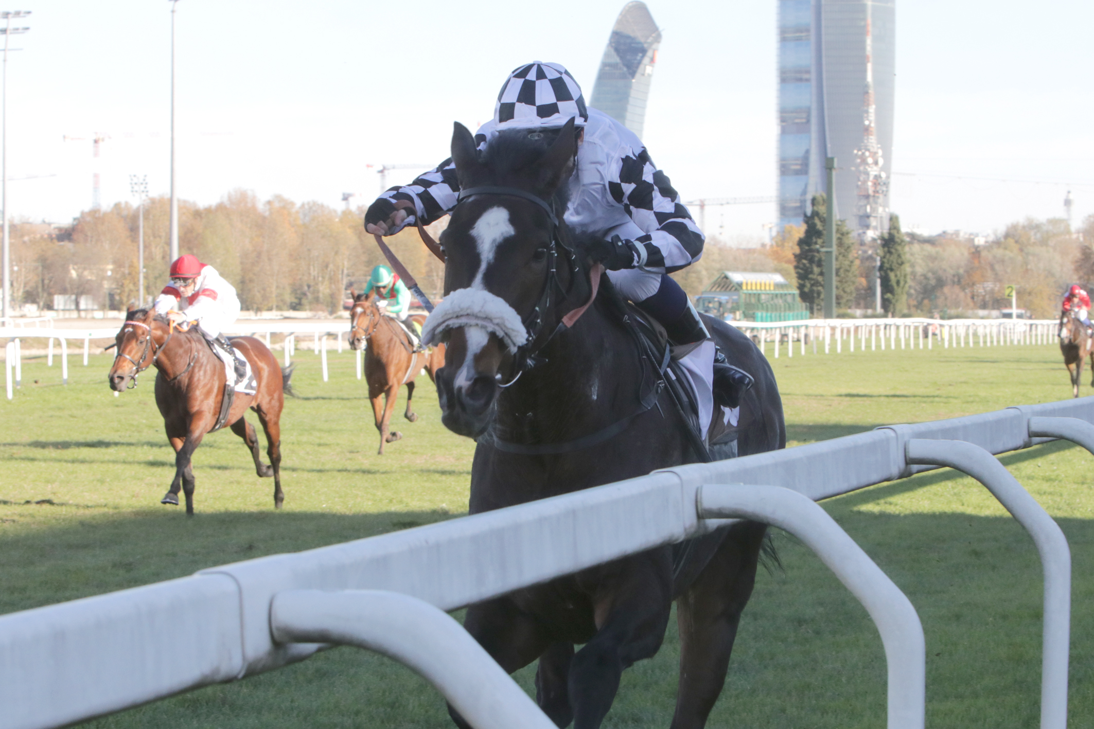 Ippodromo snai san siro corsa 5 Premio St Leger l'arrivo del vincitore