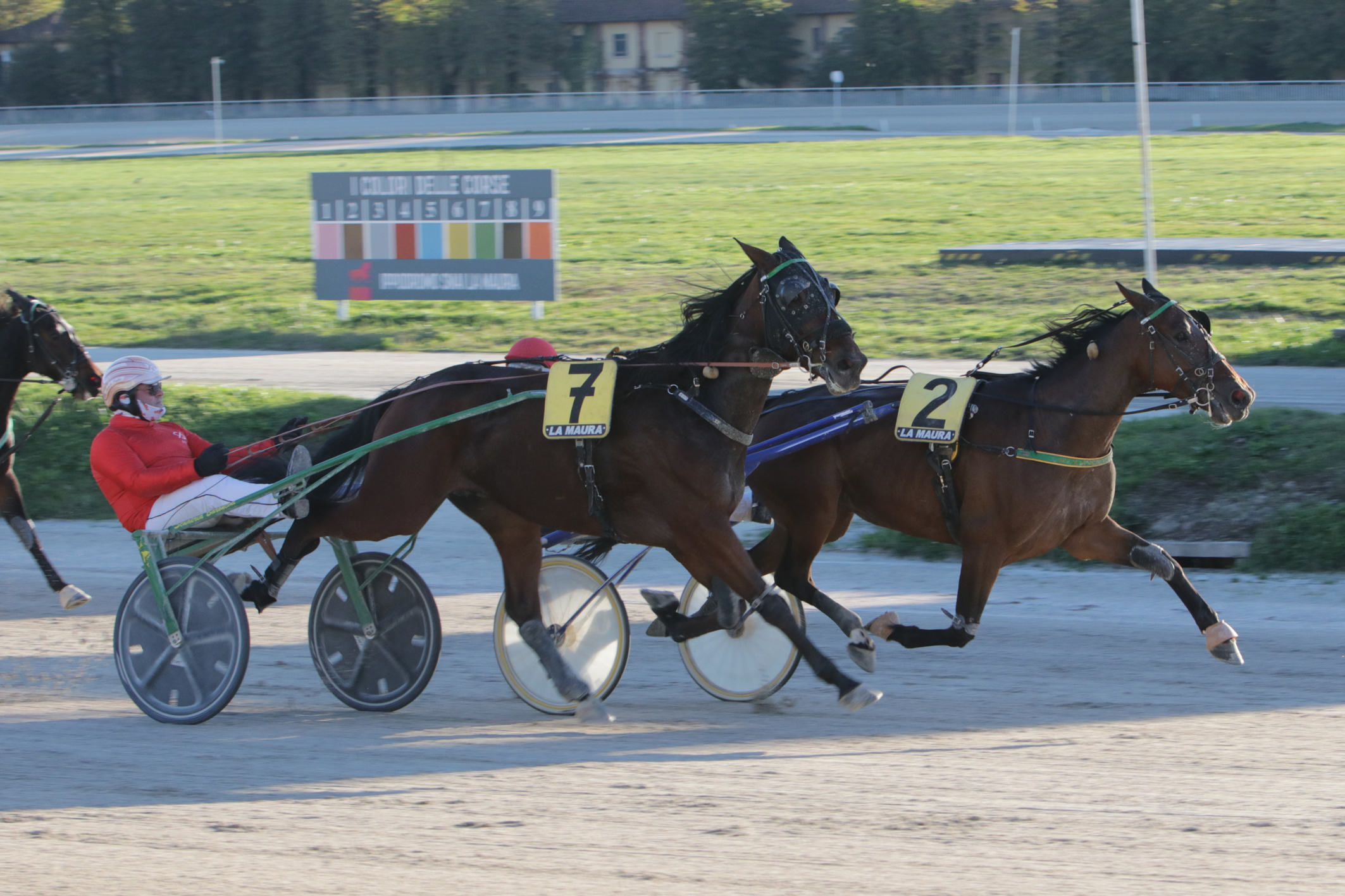 Il Trofeo Luigi Canzi all'ippodromo Snai La Maura va a Don Saxo 7 CORSA6 PREMIO BAMBAIA