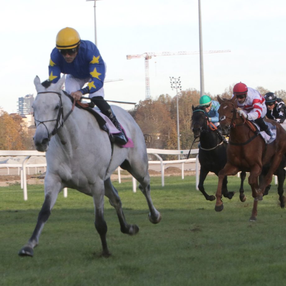 Sabato all'ippodromo Snai San Siro: Roberto Escobar, Tawang e Taany 5 CORSA6 PREMIO GIOVANNI FALCK Arrivo