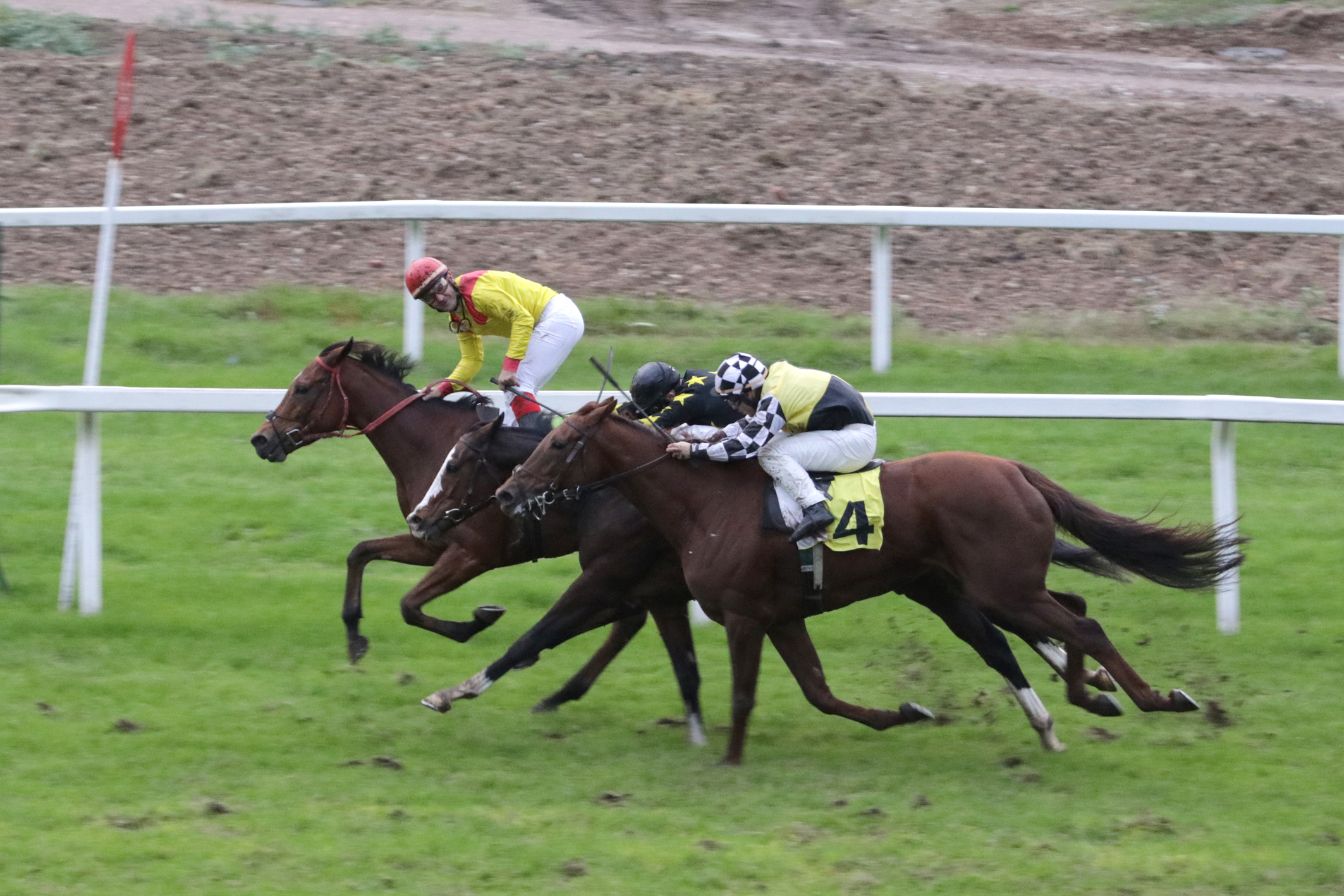 All’Ippodromo Snai San Siro la Scuderia Topeeka viene celebrata dalla bella vittoria di Suyaja 6 CORSA6 PREMIO PEREGO