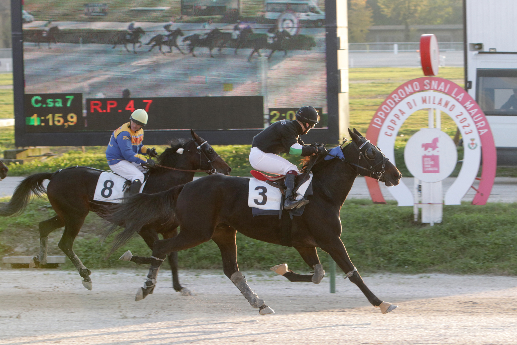Venerdì di trotto all’Ippodromo Snai La Maura 1 CORSA7 PREMIO TRADERS TROTTO MONTATO 1