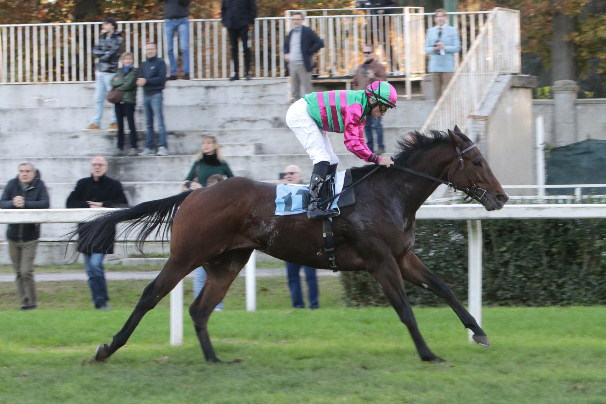 Sabato all'ippodromo Snai San Siro: Roberto Escobar, Tawang e Taany 6 CORSA7 PREMIO CHIUSURA ARIA IMPORTANTE