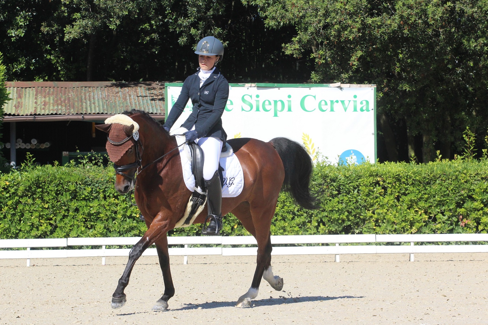 Cervia la Coppa delle Regioni di Dressage e Paradressage 1 Coppa delle Regioni di Dressage, Coppa delle Regioni Paradressage, Cervia