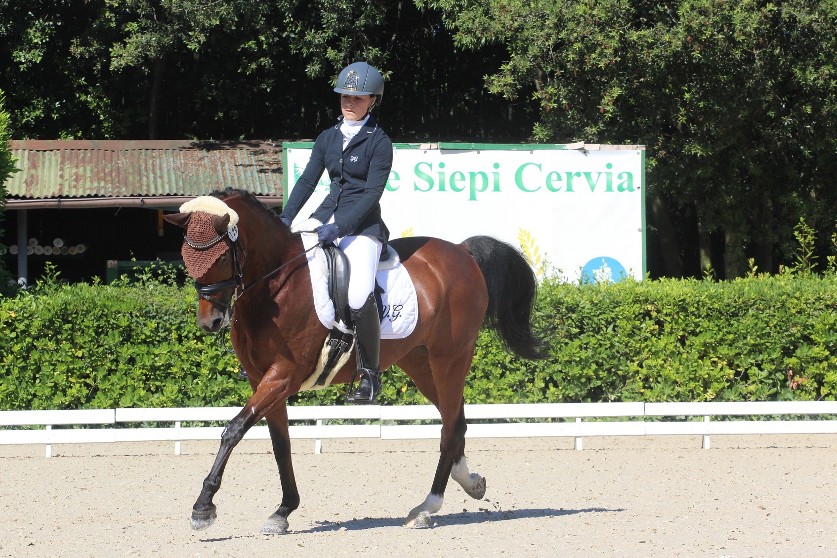 Coppa delle Regioni di Dressage, Coppa delle Regioni Paradressage, Cervia