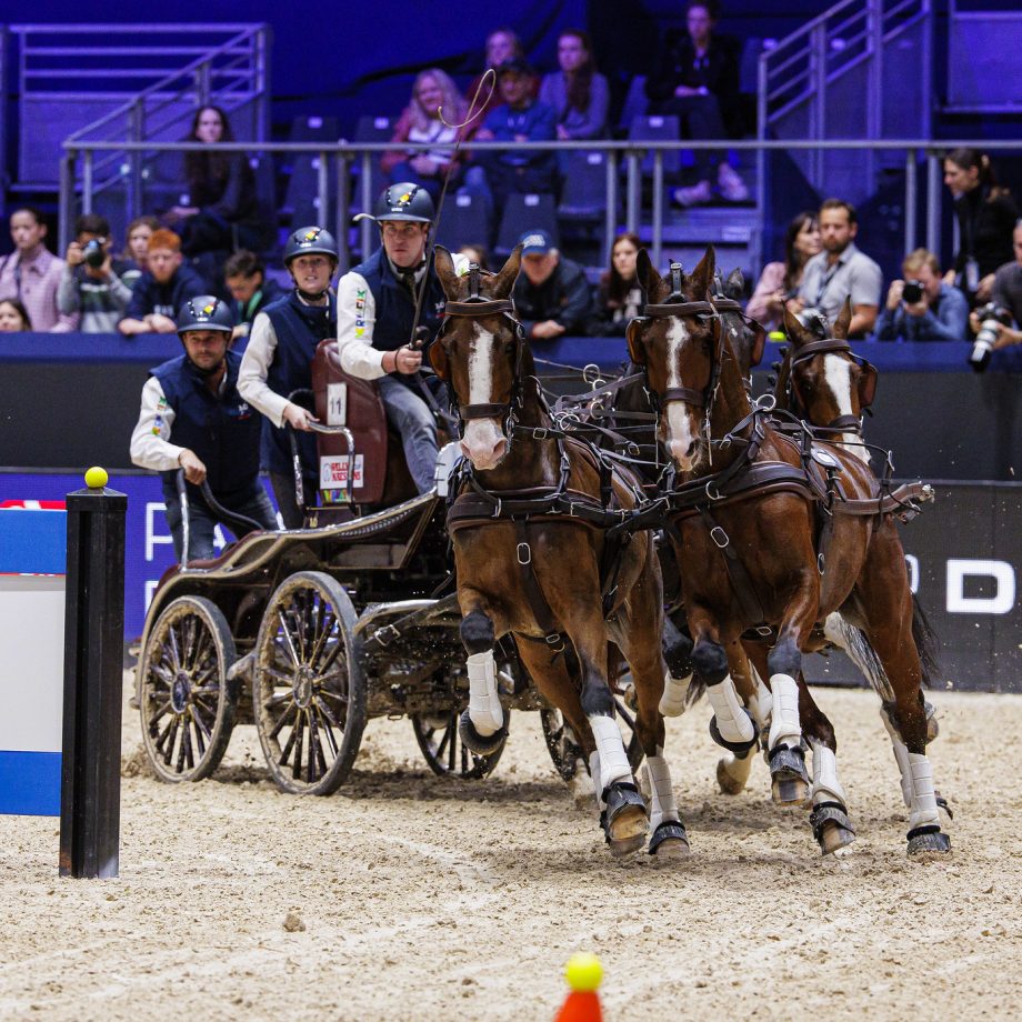 Boyd Exell domina la prima tappa della FEI World Cup™ di Attacchi 4 Dries Degriek BEL third in the FEI Driving World Cup 202324 Lyon FRA Copyright ©FEILeanjo de Koster