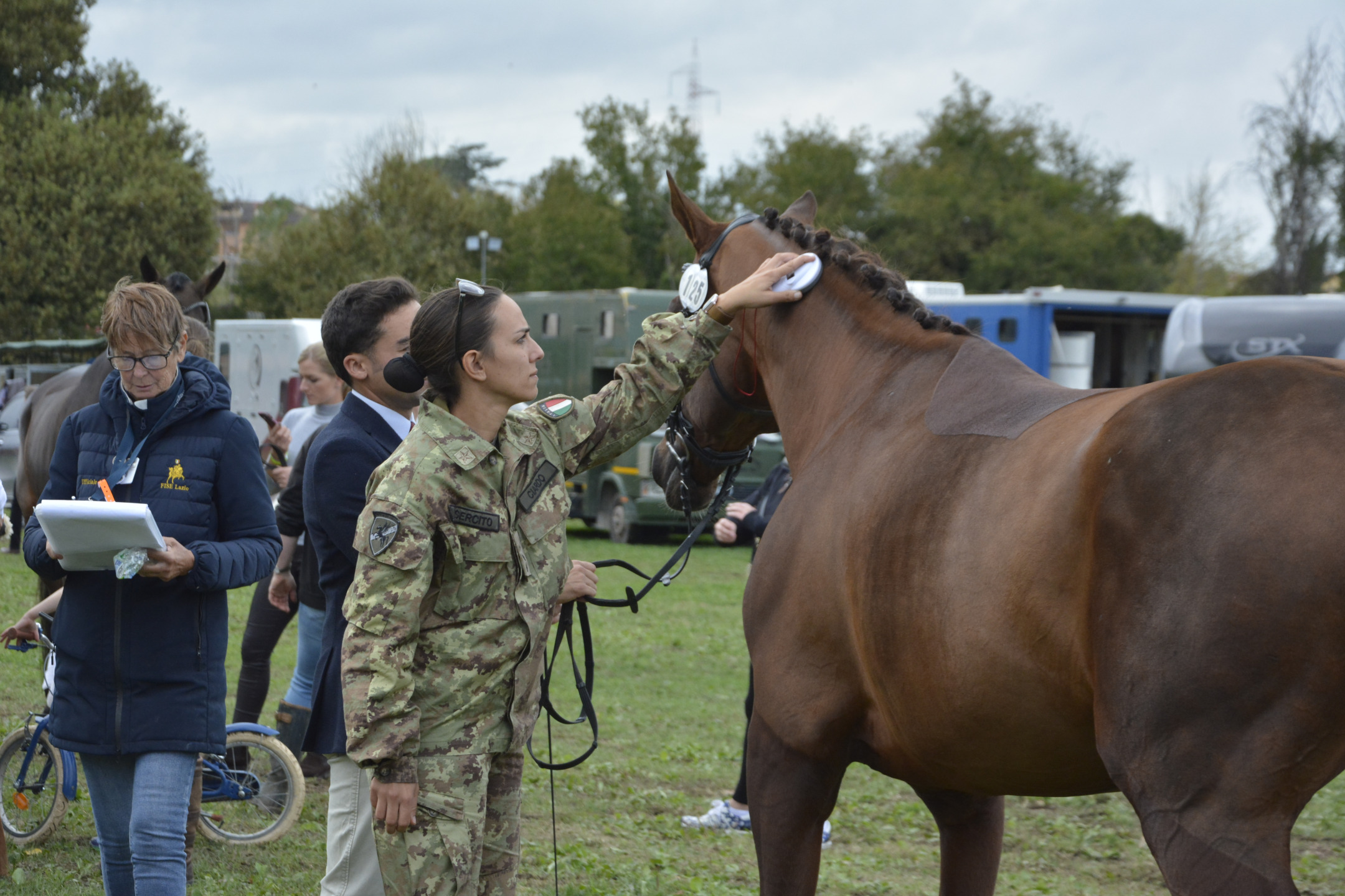 Horse inspection 1