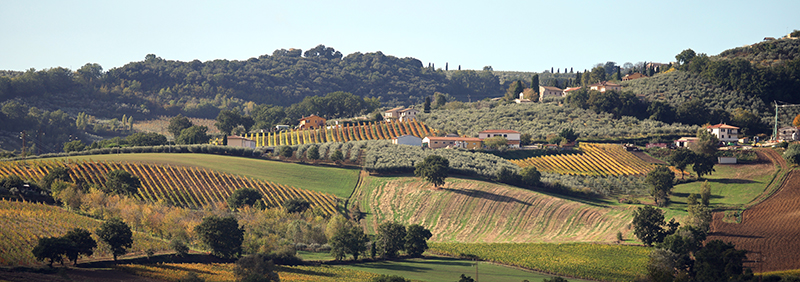 I colori di Montefalco