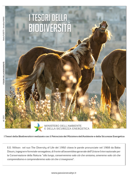 I tesori della Biodiversità 2 IMG 8381