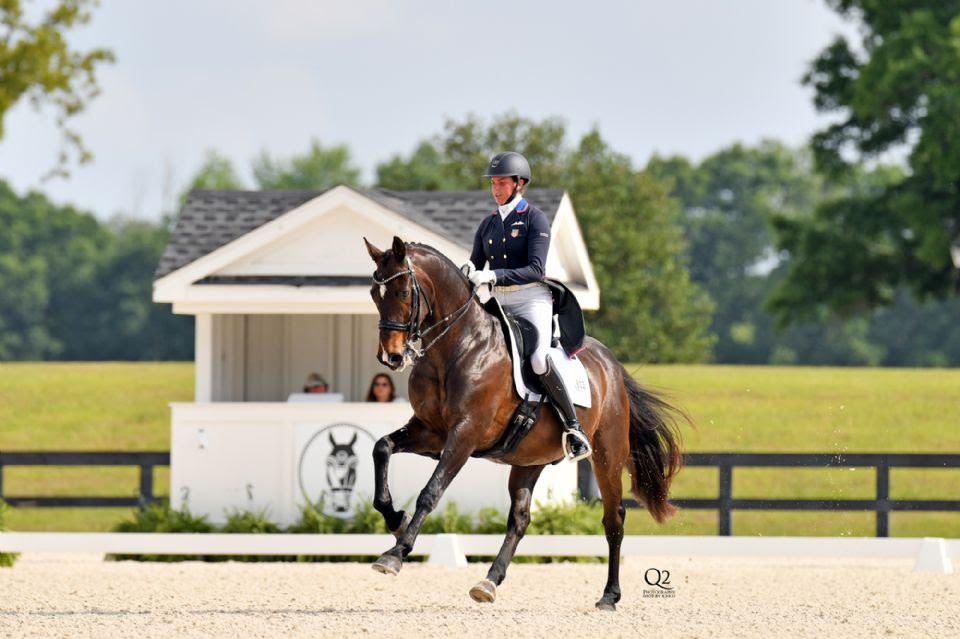 Al World Equestrian Center attesi i migliori dressagisti del mondo 1 IMG 8431