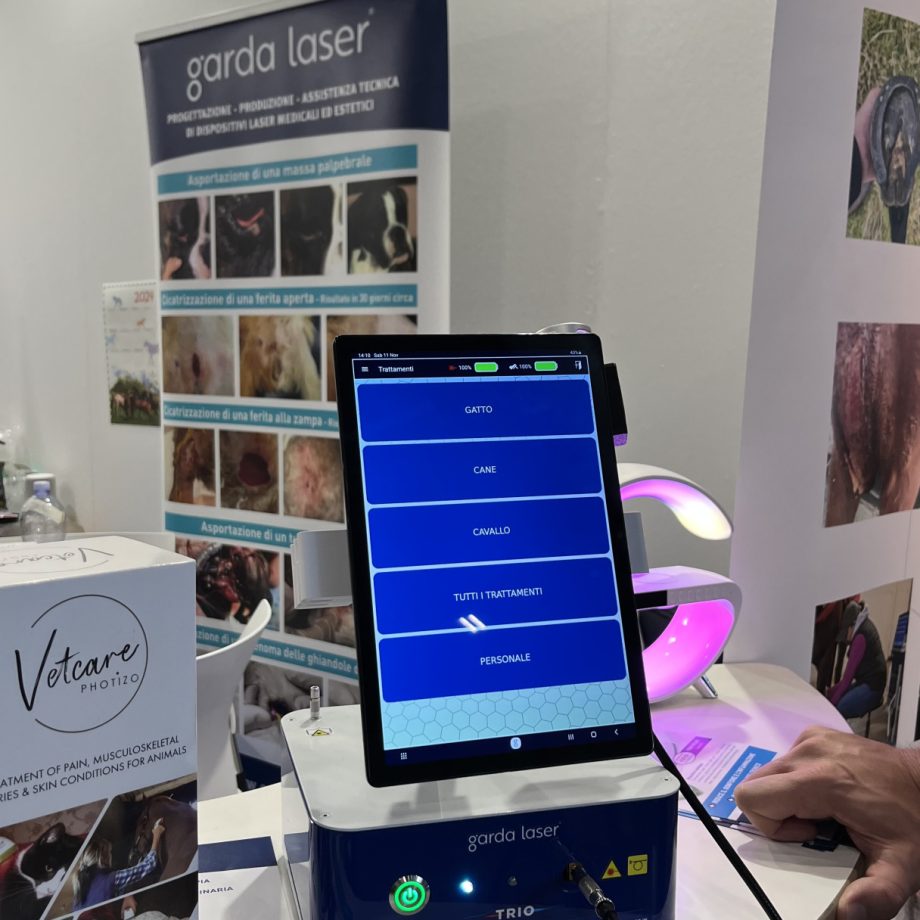 Garda Laser: la laserterapia per il benessere di cavalli e piccoli animali 7 IMG 8749