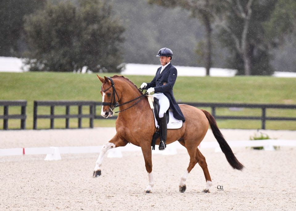 Christoph Koschel vince il CDI3* GP Freestyle del primo giorno al WEC di Ocala 1 IMG 8939