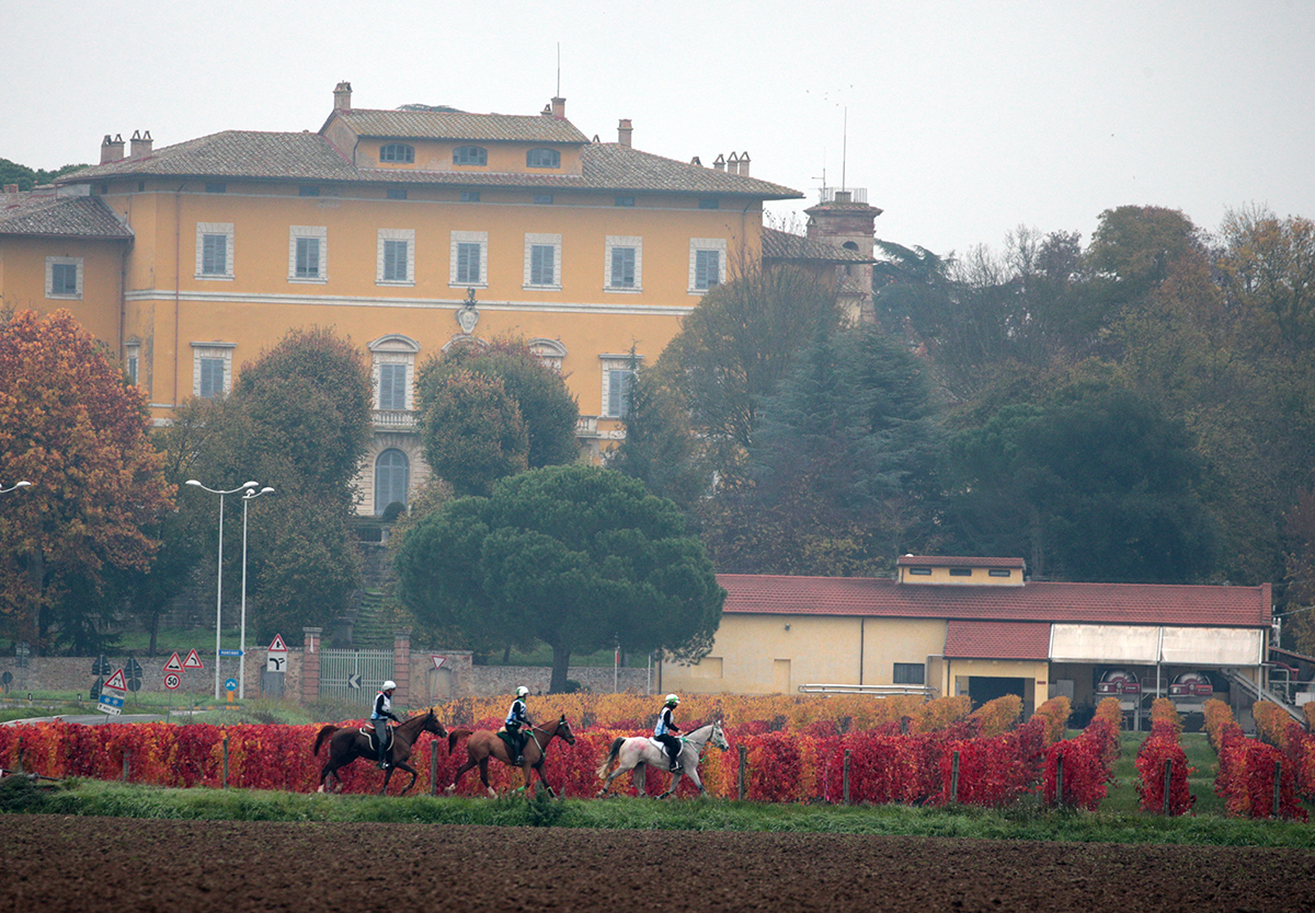 Cavalli durante una gara di Endurance ad Arezzo