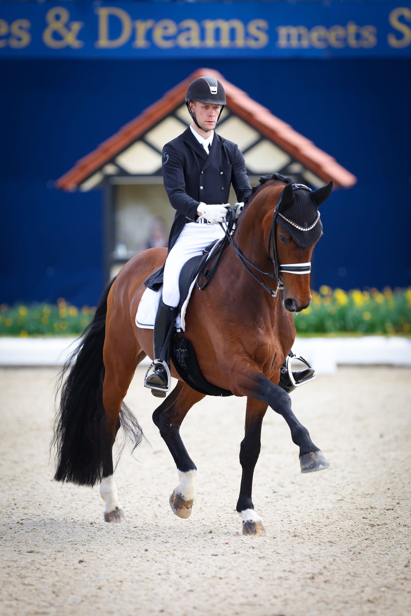 Daniel Bachmann: The Journey of a Dedicated Rider 1 cbe28fc3 7253 4140 8377 93327fdde375