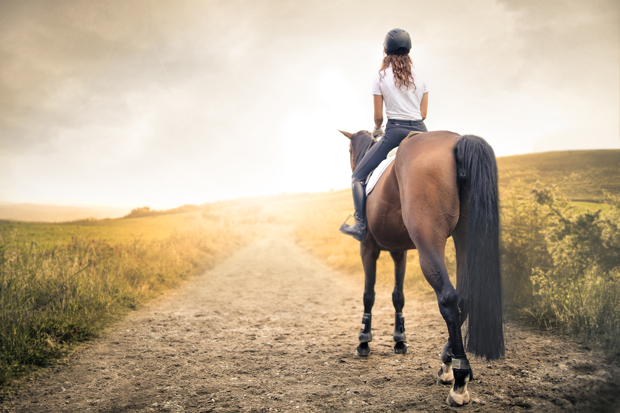 Passeggiata a cavallo: i benefici per la mente e il corpo 3 shutterstock 751474441