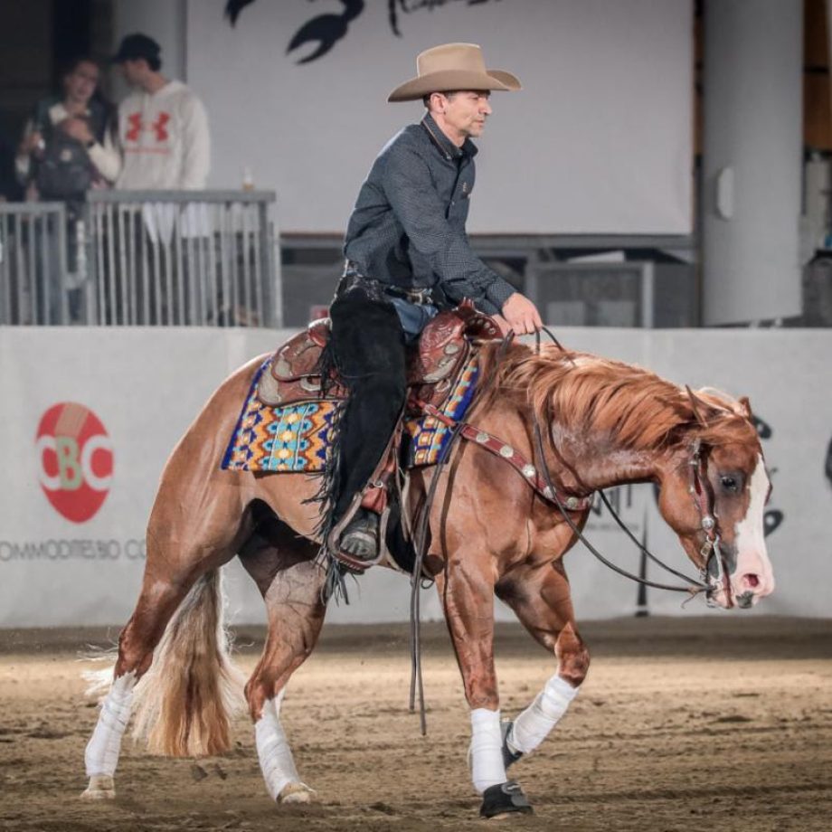 Le finali dell'Open Futurity IRHA/IRHBA/NRHA 4 unnamed22