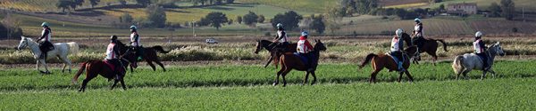 La Coppa delle Regioni di Endurance 2023 si chiude tra applausi ed emozioni 8 vista