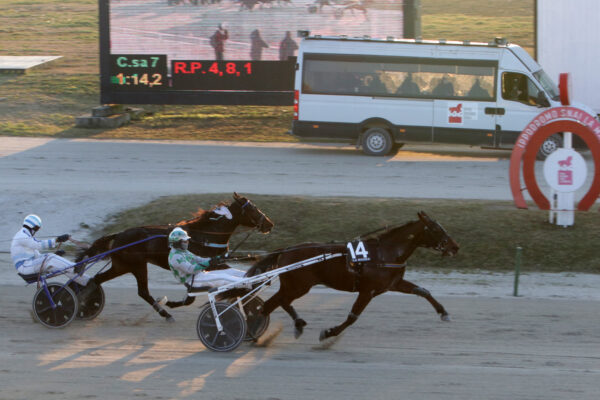 Nel mercoledì di trotto all'Ippodromo SNAI La Maura di Milano, brilla Dauphin Joyeuse nella prova abbinata al TQQ. 5 Ippodromo Snai La Maura 2023 dicembre