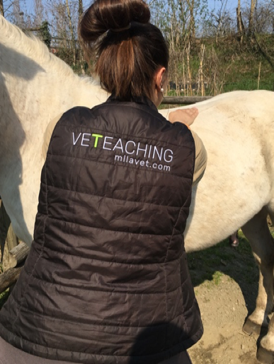 VeTeaching: un approccio innovativo per il benessere di cavalli, cani e umani 2 IMG 0006