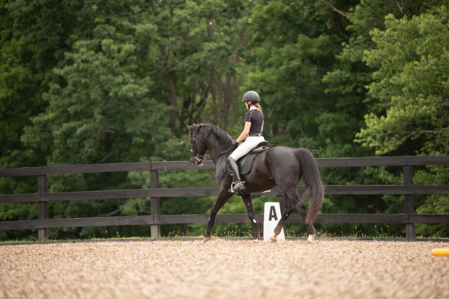 Pilates4equestrians: il punto di incontro tra il Pilates e l’equitazione 2 IMG 9282 1