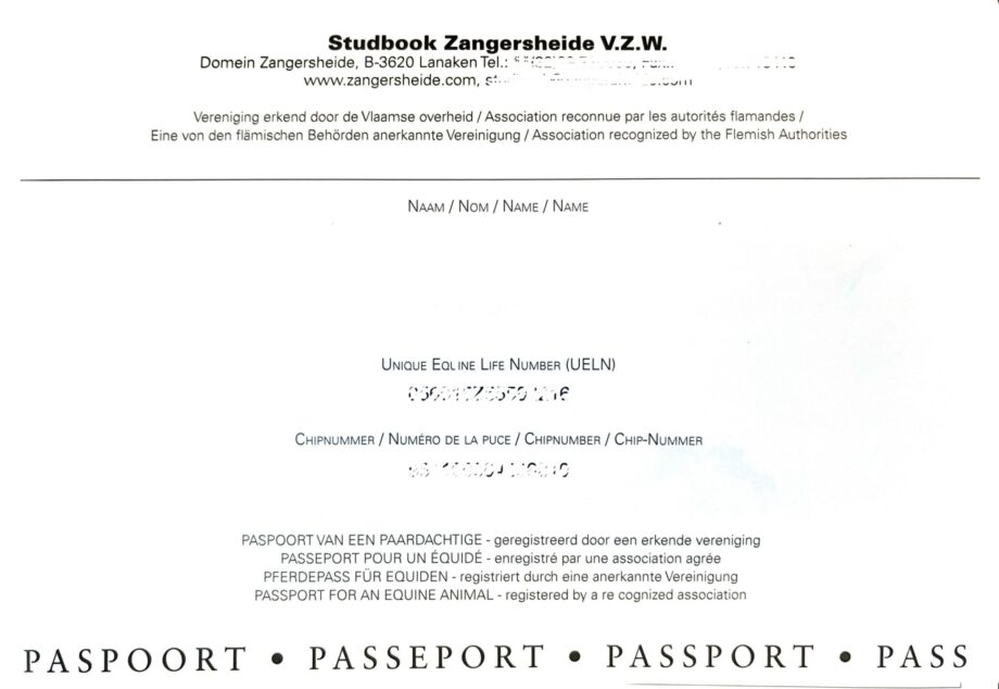 Conosci il passaporto del tuo cavallo, cosa fare per non incorrere in sanzioni 2 IMG 9427
