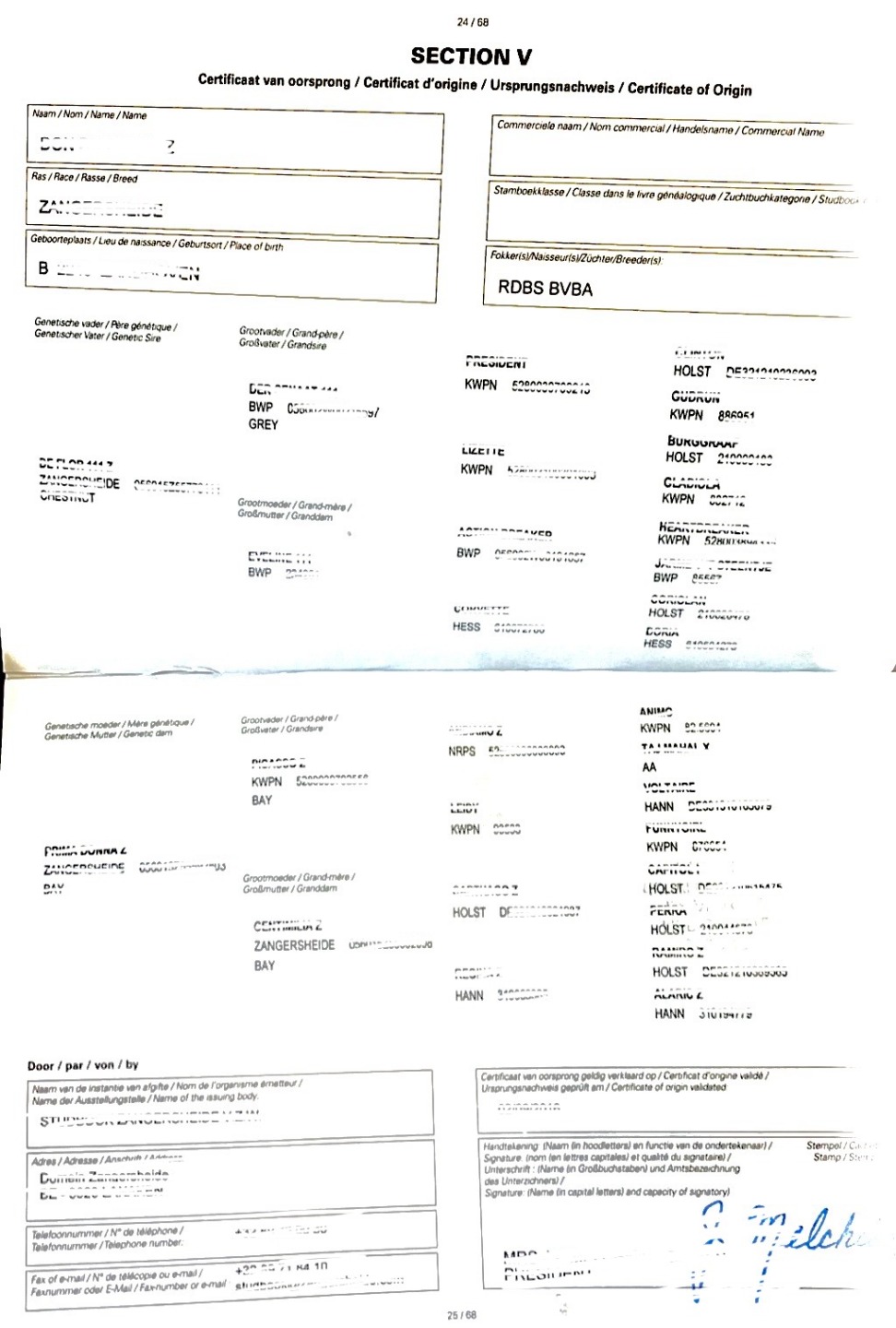 Conosci il passaporto del tuo cavallo, cosa fare per non incorrere in sanzioni 3 IMG 9595 2
