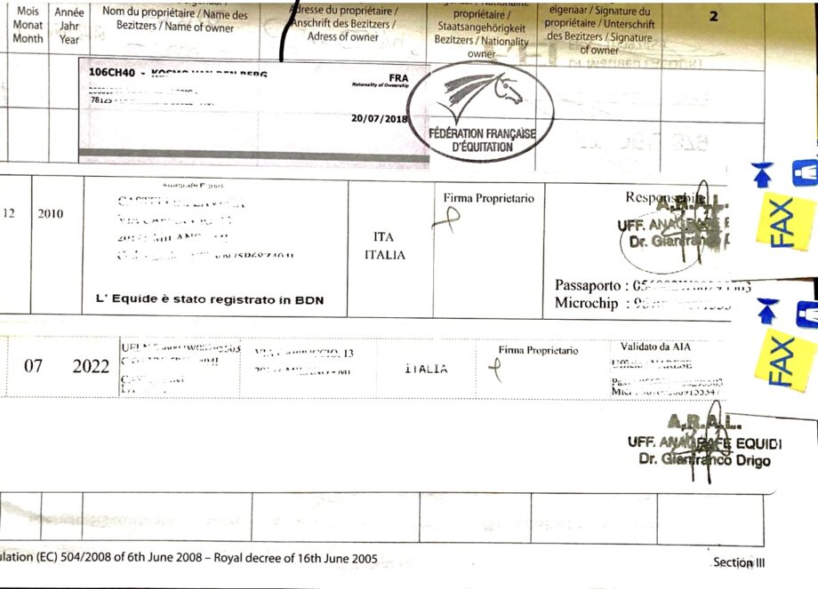 Conosci il passaporto del tuo cavallo, cosa fare per non incorrere in sanzioni 5 IMG 9601 1