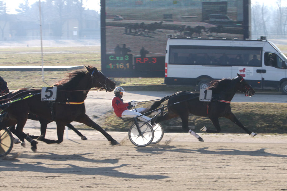 Nel mercoledì di trotto all'Ippodromo SNAI La Maura di Milano, brilla Dauphin Joyeuse nella prova abbinata al TQQ. 2 IMG 9814