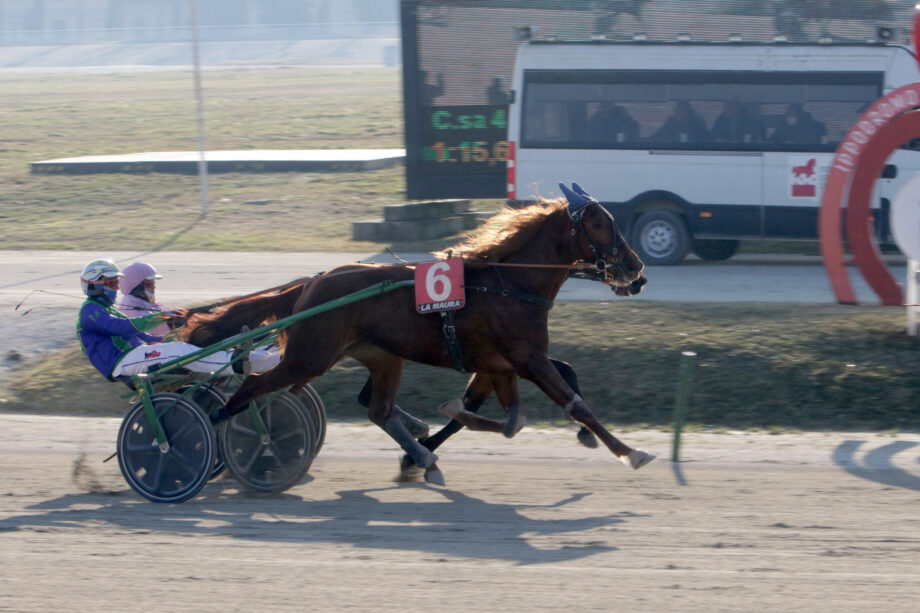 Nel mercoledì di trotto all'Ippodromo SNAI La Maura di Milano, brilla Dauphin Joyeuse nella prova abbinata al TQQ. 5 IMG 9815