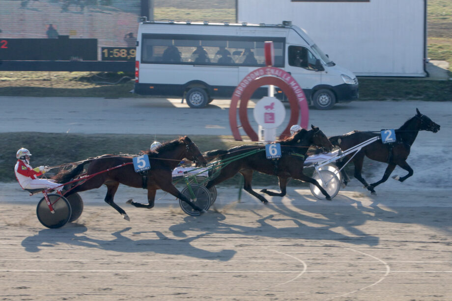 Nel mercoledì di trotto all'Ippodromo SNAI La Maura di Milano, brilla Dauphin Joyeuse nella prova abbinata al TQQ. 4 IMG 9816