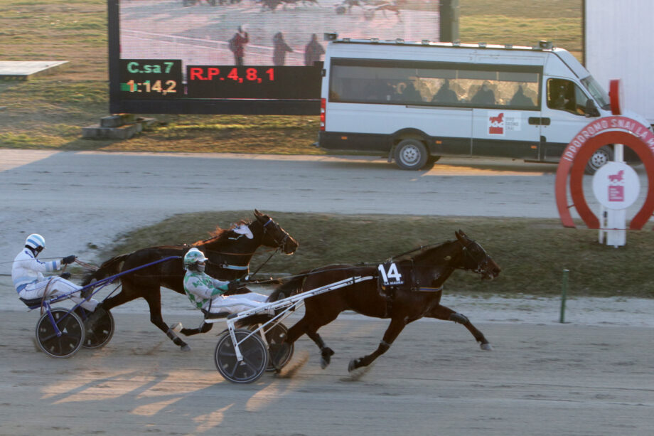 Nel mercoledì di trotto all'Ippodromo SNAI La Maura di Milano, brilla Dauphin Joyeuse nella prova abbinata al TQQ. 7 IMG 9818