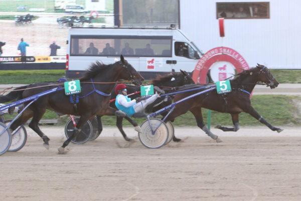 Premio Uxia Ippodromo La maura dicembre 2023 trotto montato