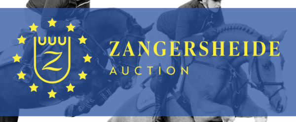 Zangersheide Auction