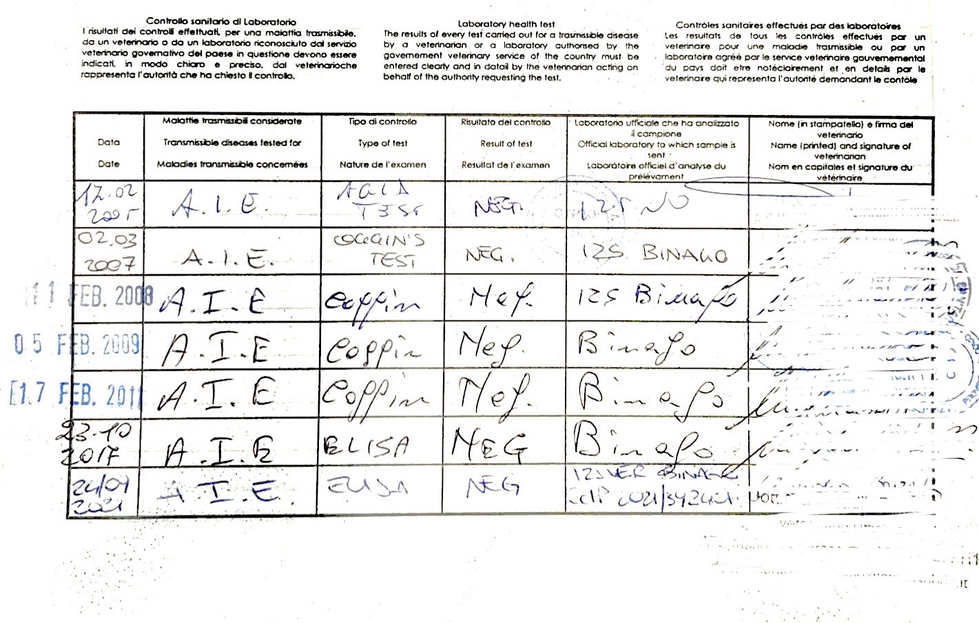 Conosci il passaporto del tuo cavallo, cosa fare per non incorrere in sanzioni 7 eb8d2107 d9dd 4a3b b54e b4cb1dd2146f