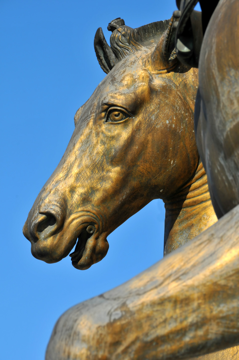 Cavallo nell'arte, sculture di Lisippo