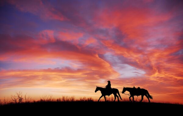 Il maestoso cavallo nel cinema Western, un compagno iconico del selvaggio West 5 Tramonto foto western 2023