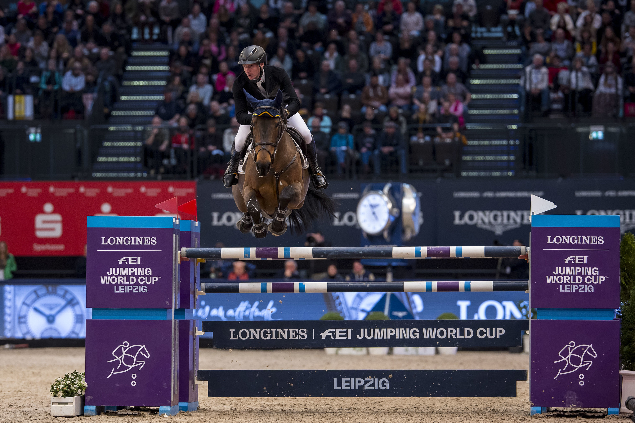 Trionfo per Daniel Coyle e Legacy nella FEI World Cup di Lipsia 1 Daniel Coyle (IRL) riding Legacy