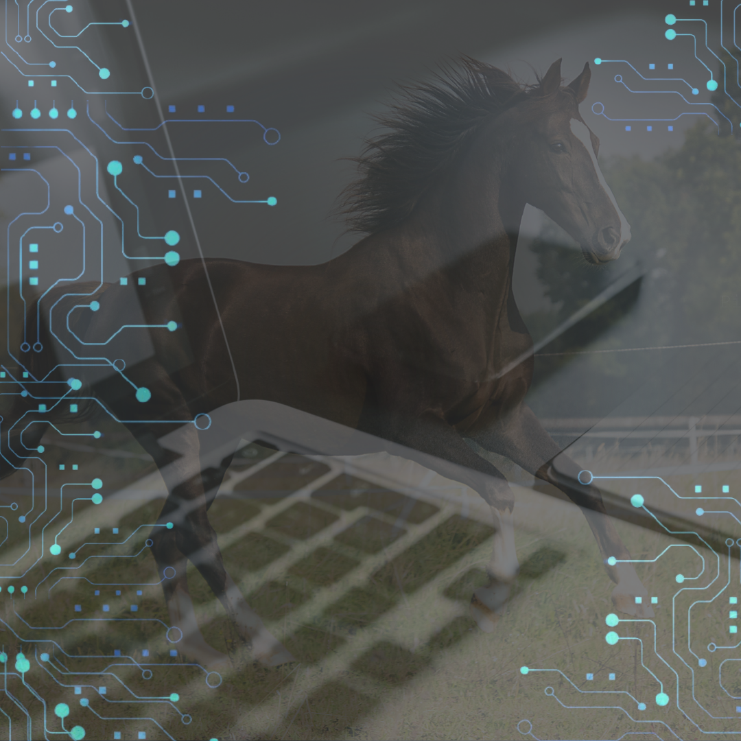 L'impatto della tecnologia nel mondo equestre 1 Blue Minimalist Technology Event Instagram Post