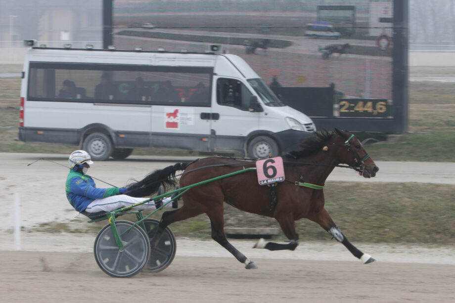 Newstar e Fashion Grif protagonisti all’Ippodromo Snai La Maura 2 CORSA1 PREMIO MUSCLETONE 1935 1937
