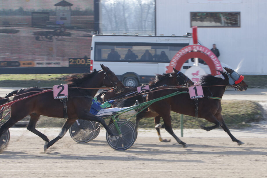 CORSA1 PREMIO ORIENT HORSE