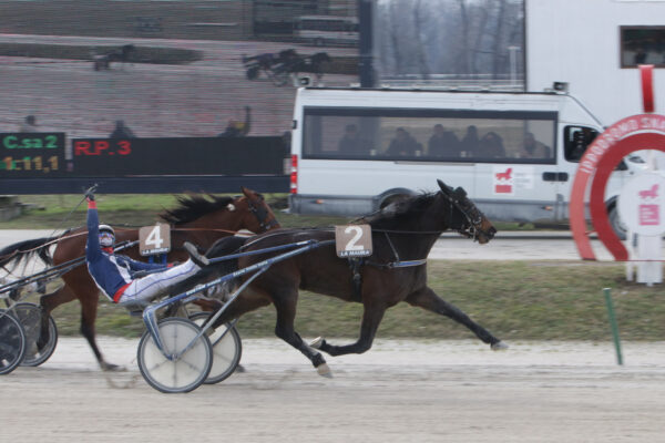 Esedomani ne Premio Christ Evert Treb all'ippodromo Snai La Maura