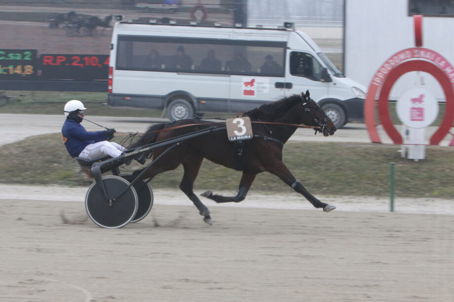 Newstar e Fashion Grif protagonisti all’Ippodromo Snai La Maura 3 CORSA2 PREMIO FACE TIME BOURBON 2020 2021