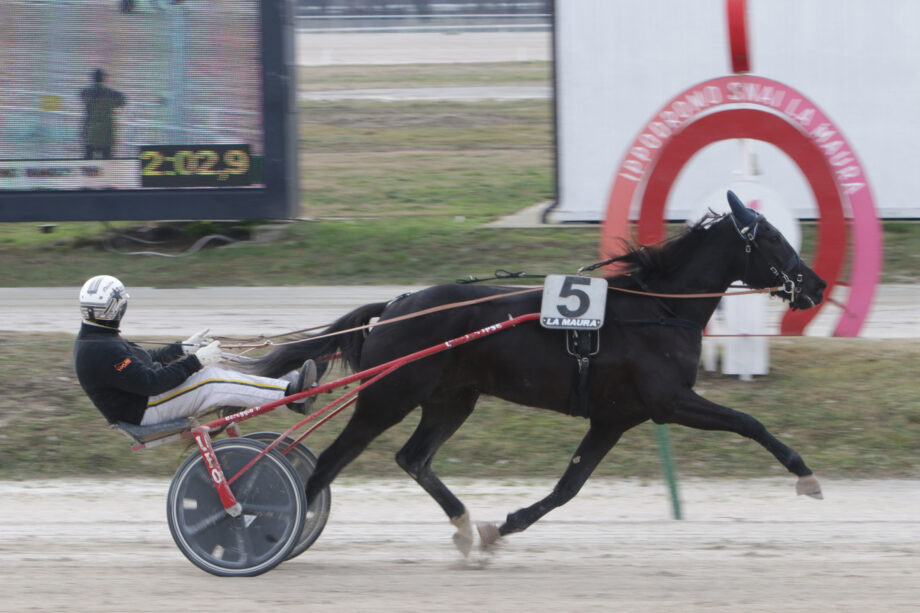 Domenica di trotto a Milano: Emozioni con Esedomani nel Premio Chris Evert Treb 4 CORSA3 PREMIO BRANDOS TREB
