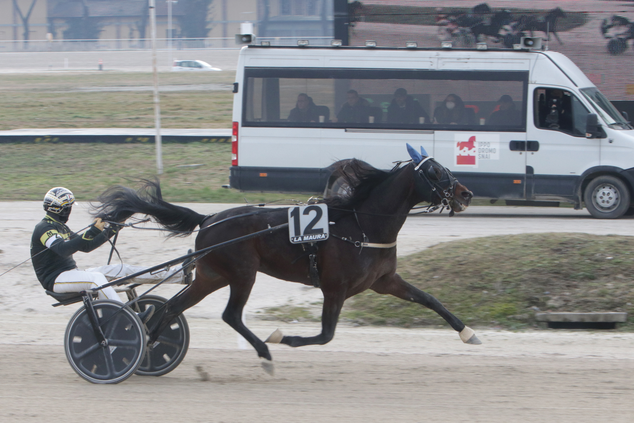 Trotto a La Maura: protagonisti Funky Roc e Every Time Winner 5 CORSA3 PREMIO COLTWINE DI CASEI