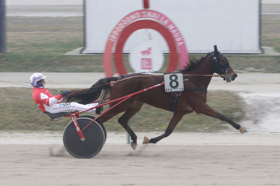 Newstar e Fashion Grif protagonisti all’Ippodromo Snai La Maura 4 CORSA3 PREMIO MISTERO 1947 1