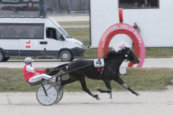 CORSA3 PREMIO RED CHIEF